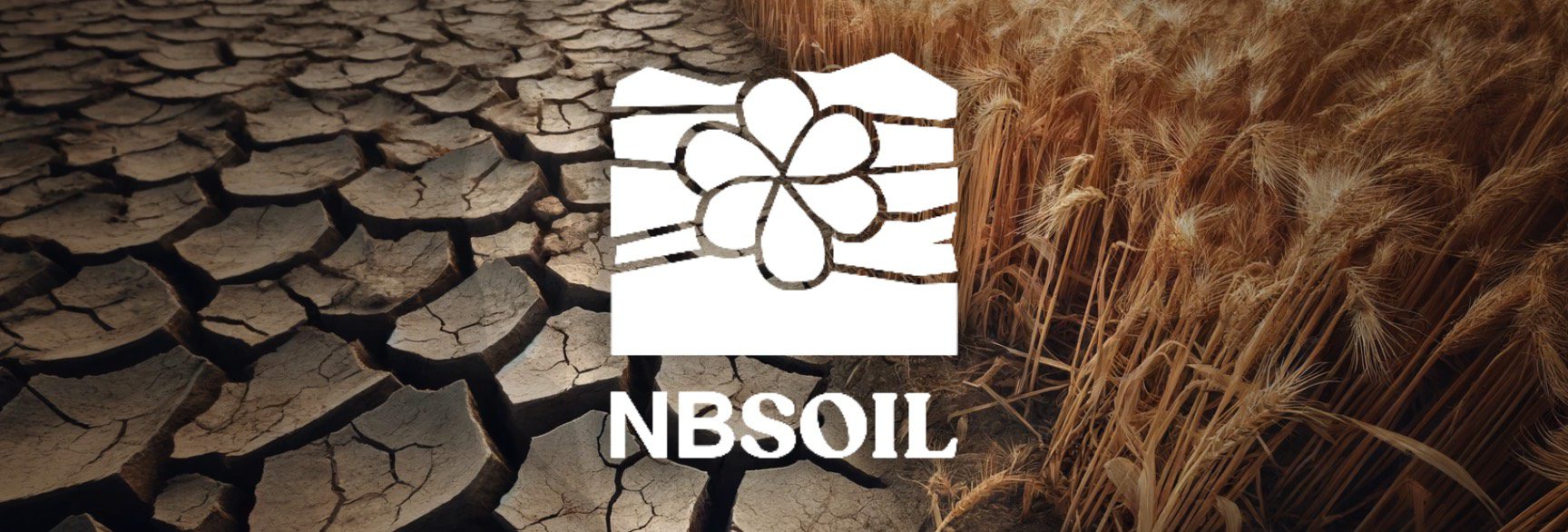 NBSOIL