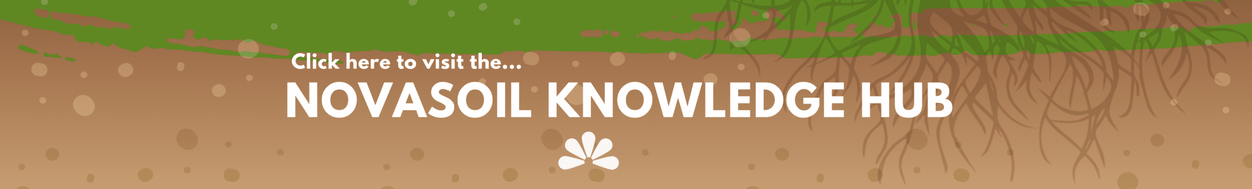 Welcome to NOVASOIL knowledge hub - the ultimate online community for agriculture enthusiasts who want to improve soil health. Whether you are a farmer, or simply interested in the latest developments in sustainable farming practices, based on implementation of soil health business models, this is the place for you.