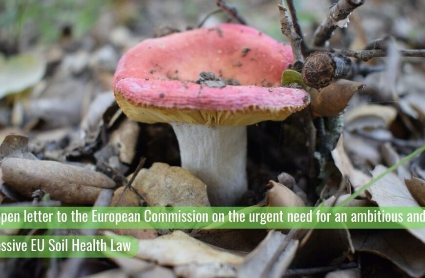 EU Soil Health Law Coalition for more ambitious legislation
