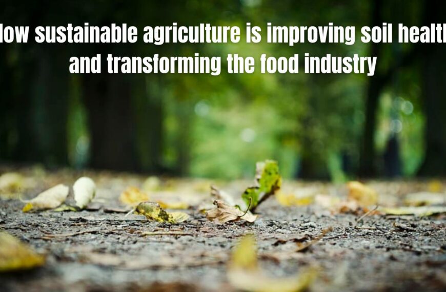 How sustainable agriculture is improving soil health and transforming the food industry
