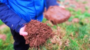 Unlocking private investment in soil carbon in England Eco-schemes: a key tool for sustainable agriculture in the EU