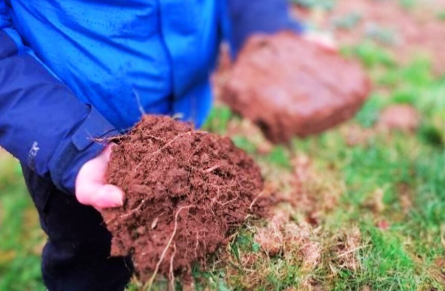 Unlocking private investment in soil carbon in England