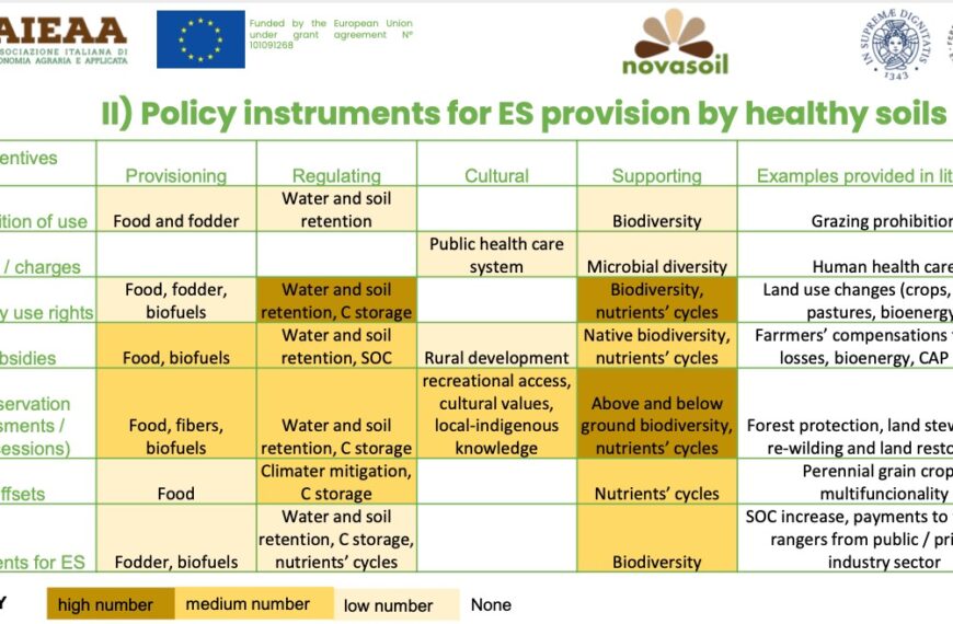 Soil health and ecosystem services: emerging narratives and policy integration of incentive-based instruments