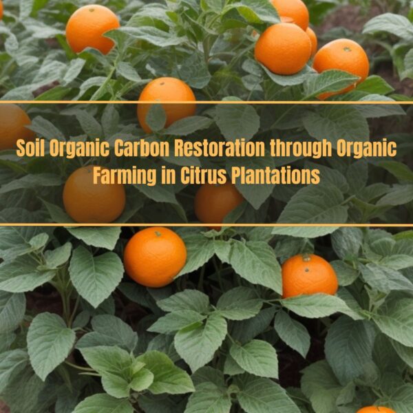 Soil Organic Carbon Restoration through Organic Farming in Citrus Plantations