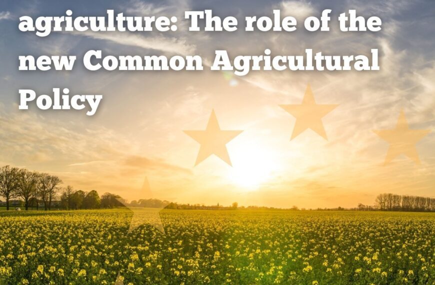 Towards sustainable agriculture: The role of the new Common Agricultural Policy