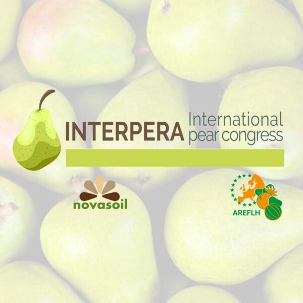 The NOVASOIL project stands out at the International Pear Congress 2024 in Óbidos, Portugal, organised by AREFLH and ANP.
